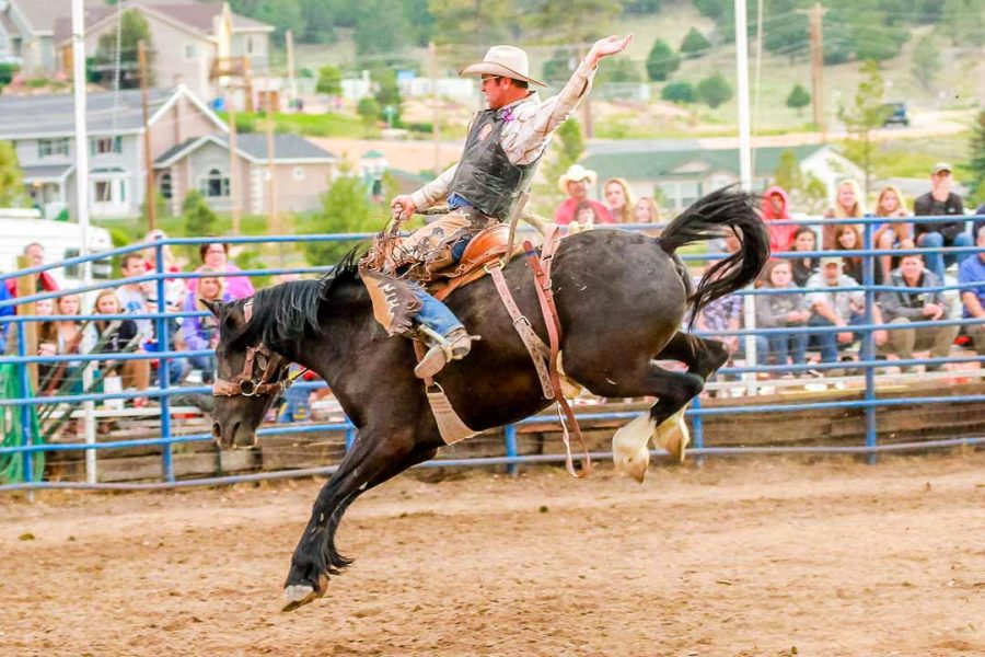 What To Know About Rodeo