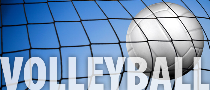 Volleyball Wrap Up